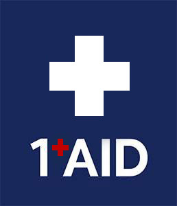 1AID Srl